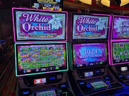 80gamebet